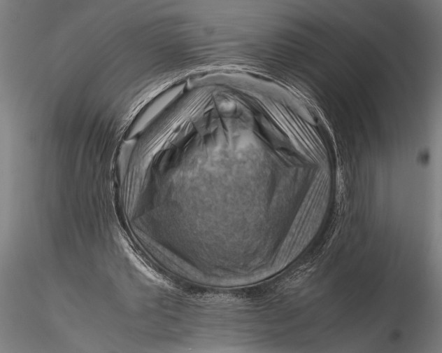 X0000116060389200912111533