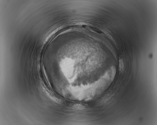 X0000116060390200912111533