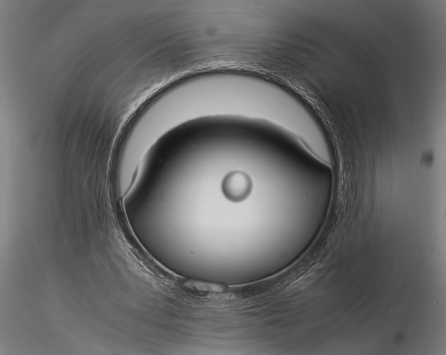 X0000116060391200912111533