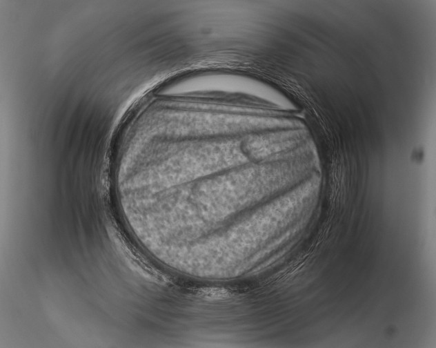 X0000116060392200912111533