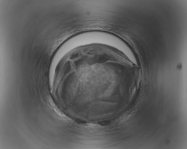 X0000116060393200912111533