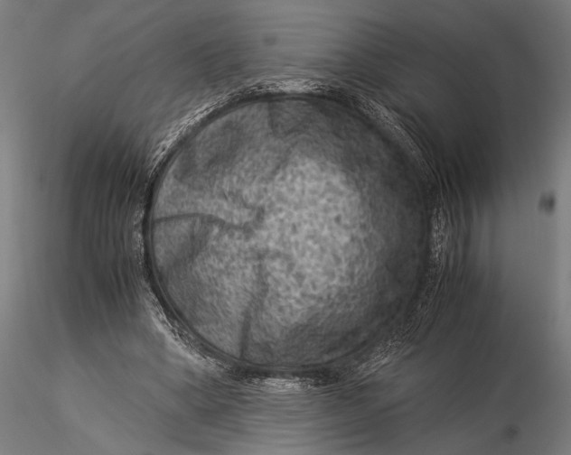 X0000116060394200912111533