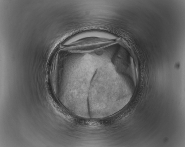 X0000116060395200912111533