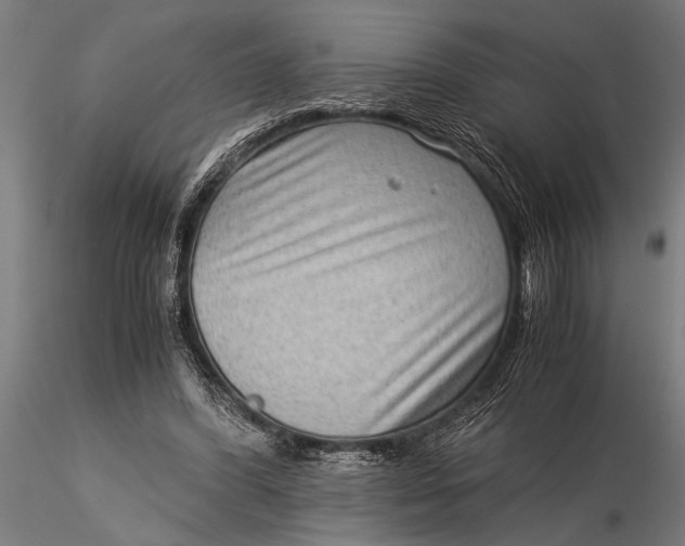 X0000116060396200912111533