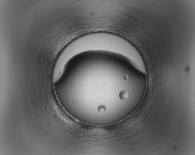 X0000116060397200912111533