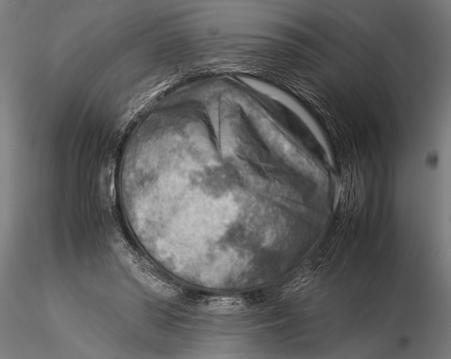 X0000116060398200912111533