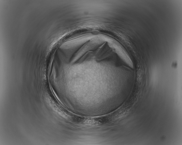X0000116060399200912111533