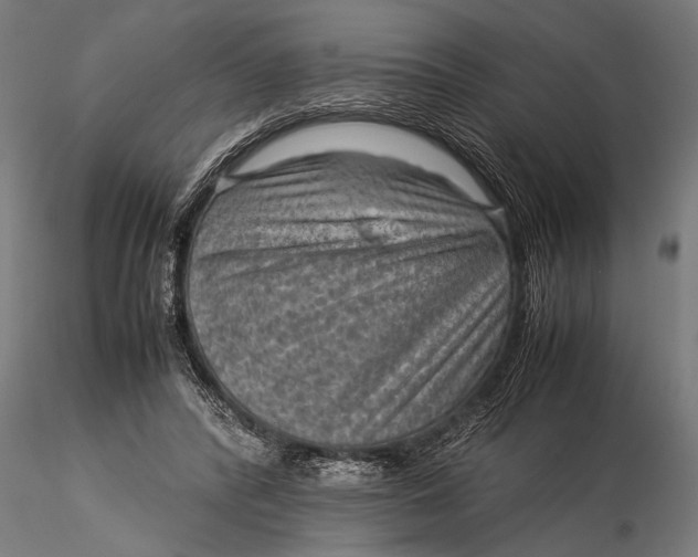 X0000116060400200912111533