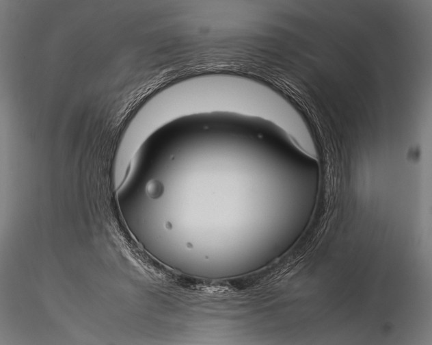 X0000116060401200912111533