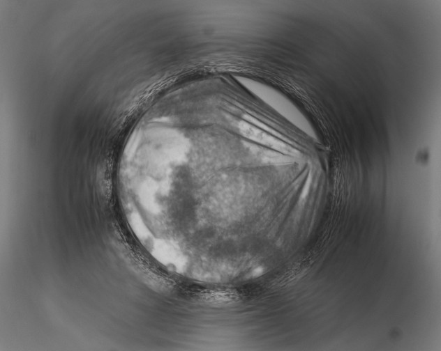 X0000116060402200912111533