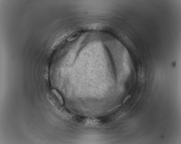 X0000116060403200912111533