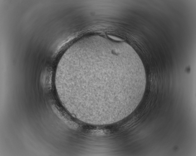 X0000116060404200912111533