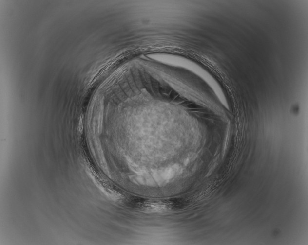 X0000116060405200912111533