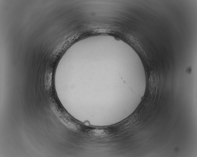 X0000116060406200912111533