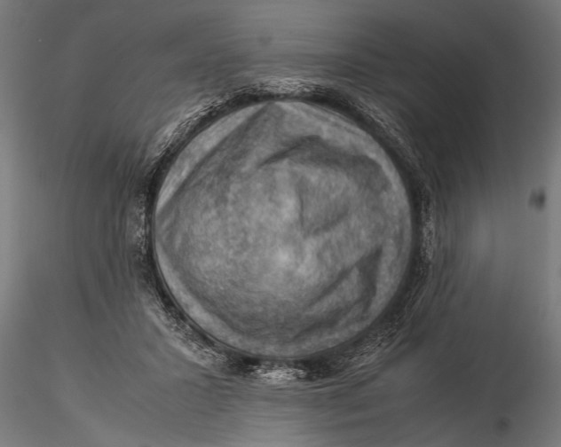 X0000116060407200912111533