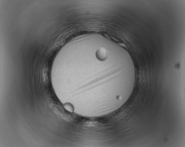 X0000116060408200912111533