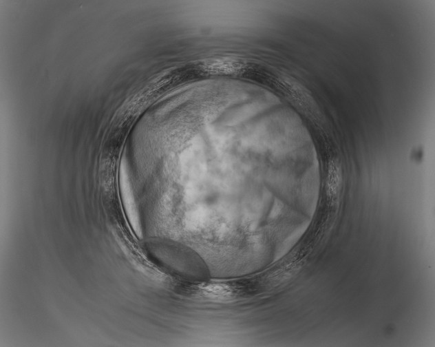 X0000116060409200912111533