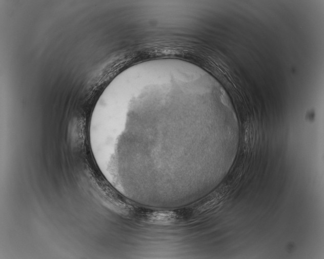 X0000116060410200912111533