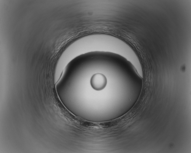 X0000116060411200912111533