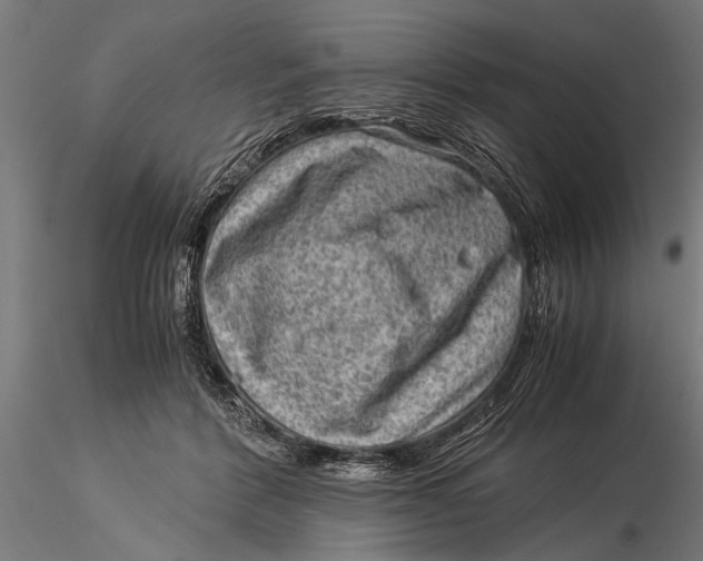 X0000116060412200912111533