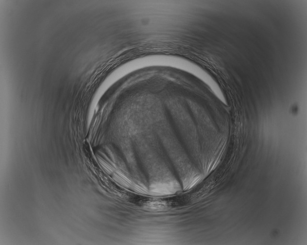 X0000116060413200912111533