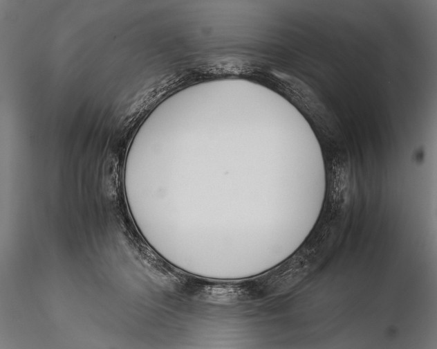 X0000116060414200912111533