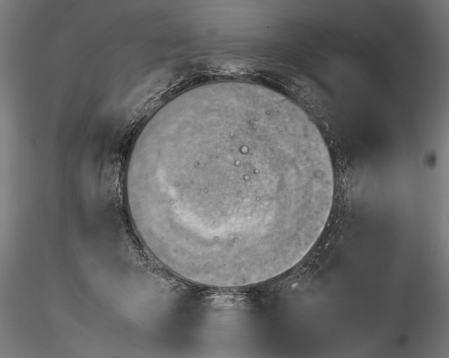 X0000116060415200912111533