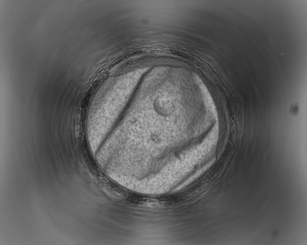 X0000116060416200912111533