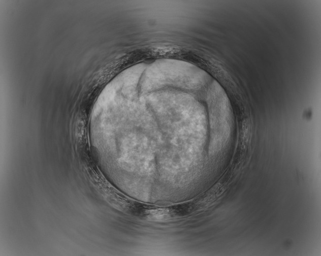 X0000116060417200912111533