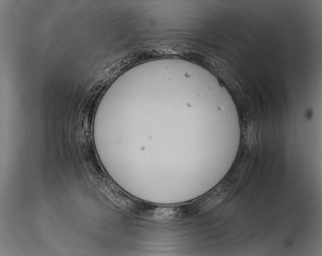 X0000116060418200912111533