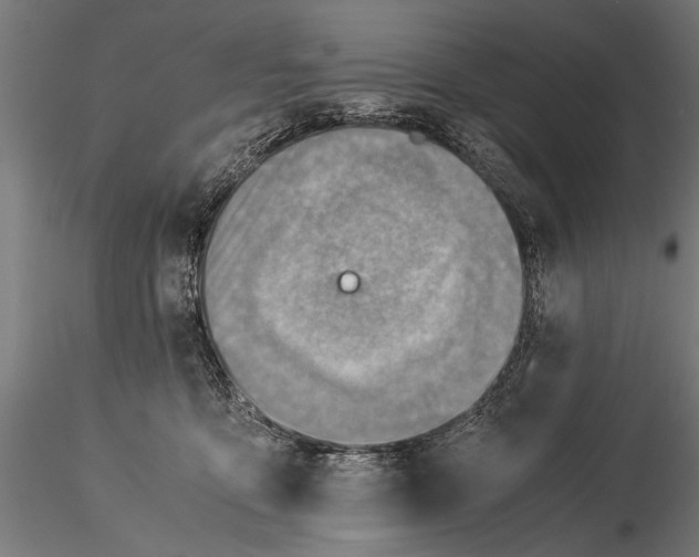 X0000116060419200912111533