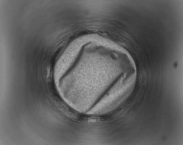 X0000116060420200912111533