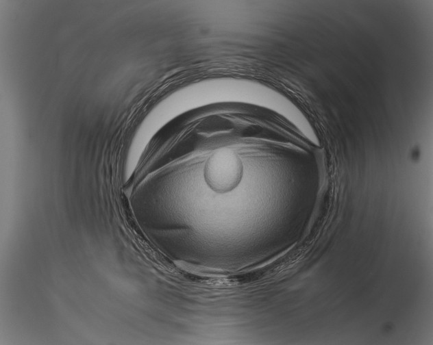 X0000116060421200912111533