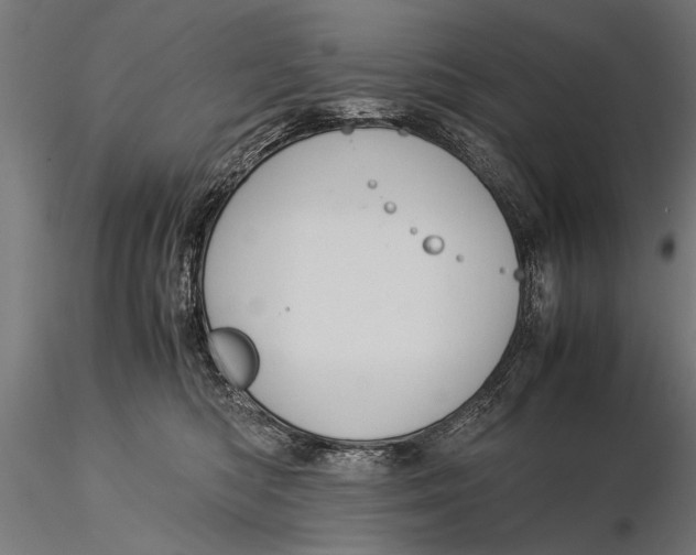 X0000116060422200912111533