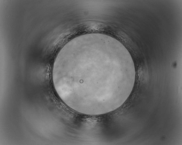 X0000116060423200912111533