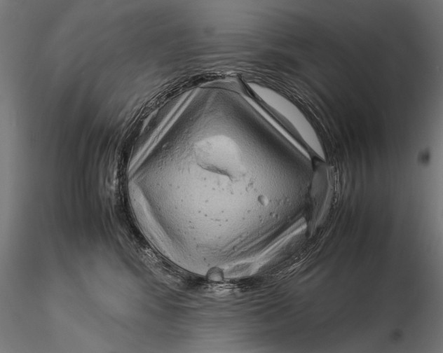 X0000116060424200912111533