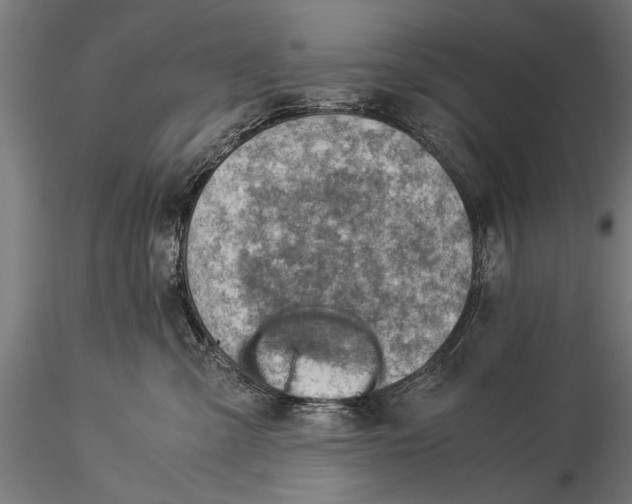 X0000116060427200912111532