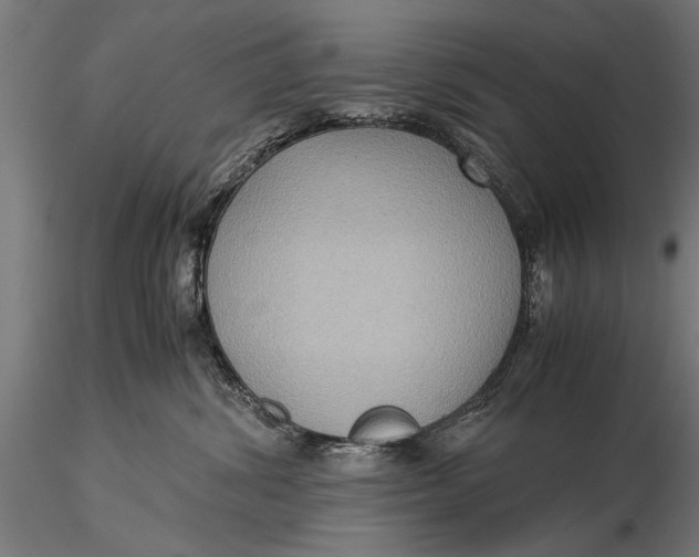 X0000116060428200912111532