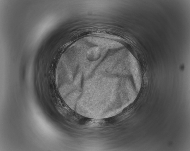 X0000116060429200912111532