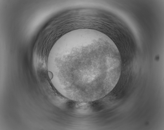 X0000116060431200912111532