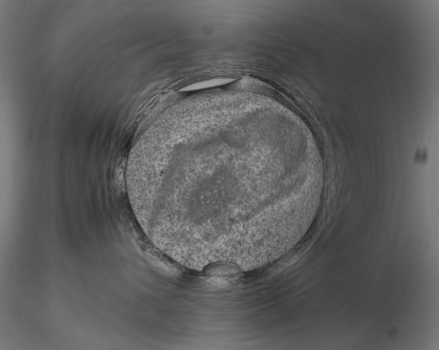 X0000116060432200912111532