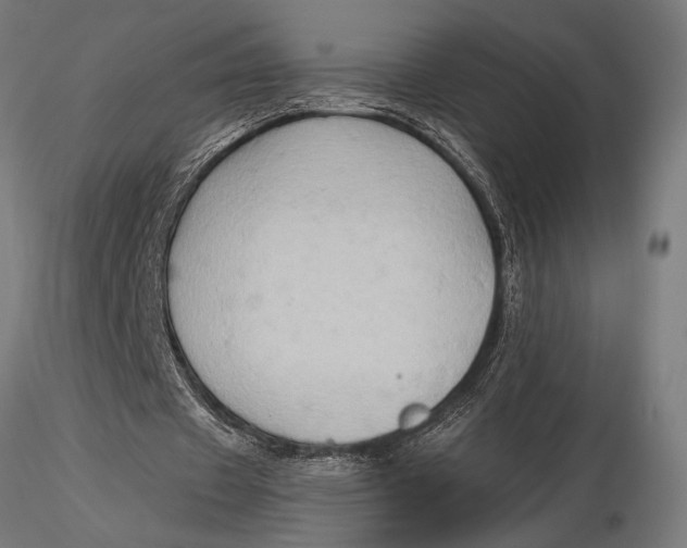 X0000116060433200912111532