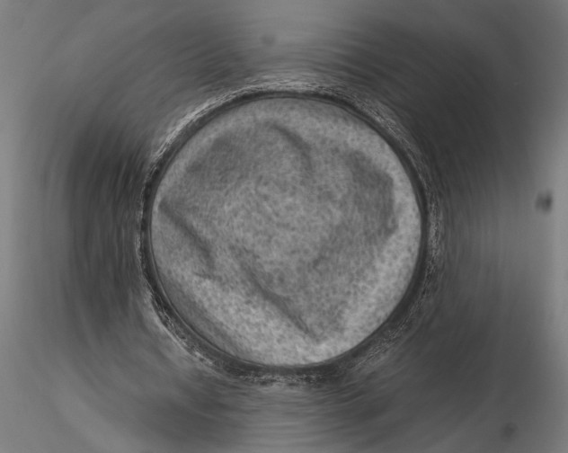 X0000116060434200912111532