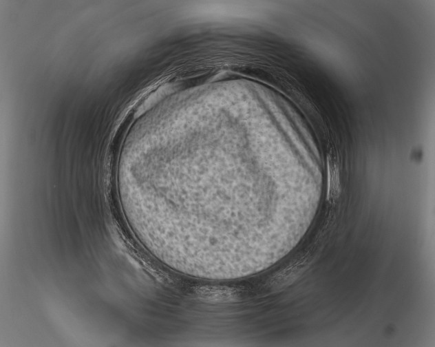 X0000116060435200912111532