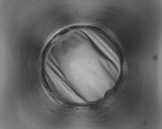 X0000116060436200912111532