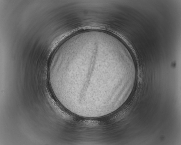 X0000116060437200912111532