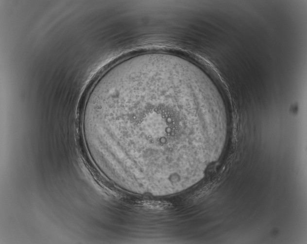 X0000116060439200912111532