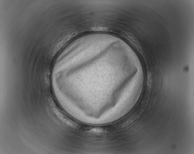 X0000116060441200912111532