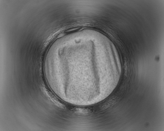 X0000116060442200912111532