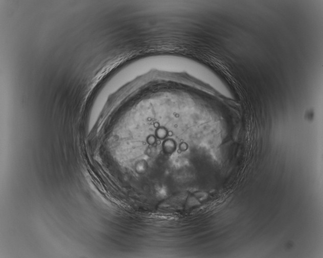 X0000116060443200912111532